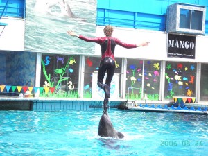 Дельфинарий в гостинице "Ялта Интурист"
