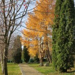 Парк СГК"Карпаты" IMG_0806
